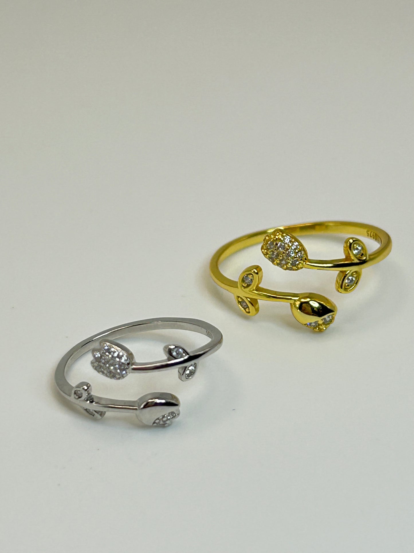 Anillo TulipĆ”n de Plataš·