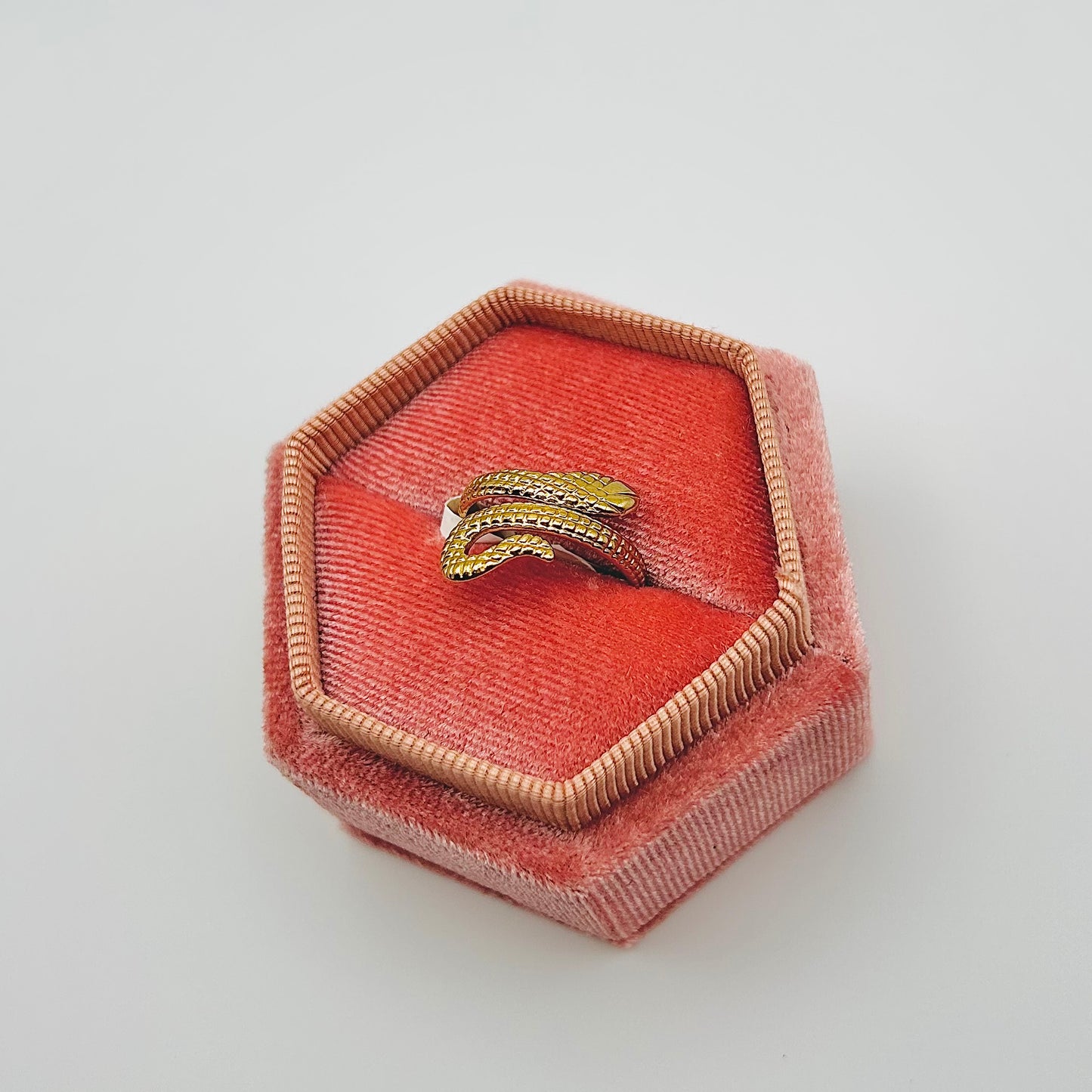 Anillo de serpiente