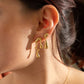 Aretes derretido