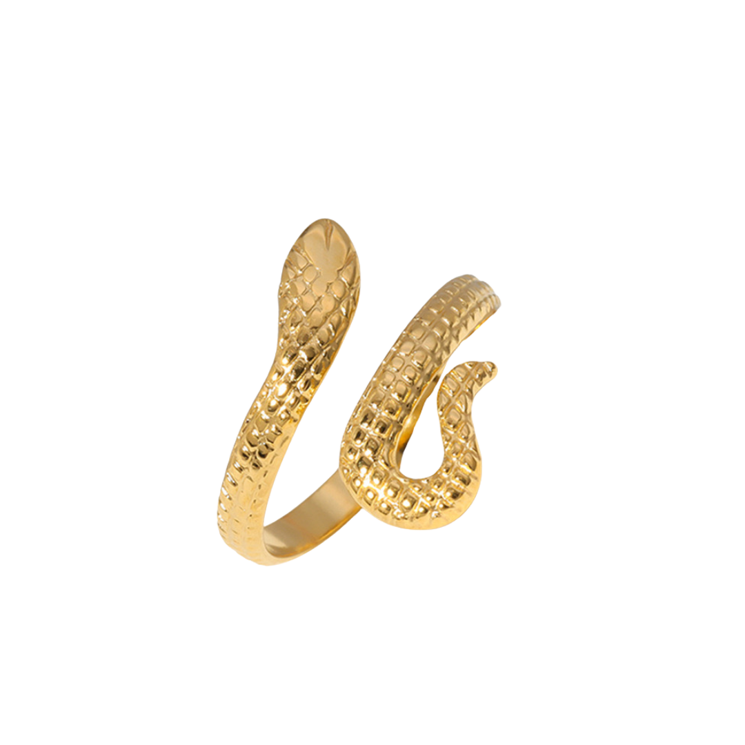 Anillo de serpiente