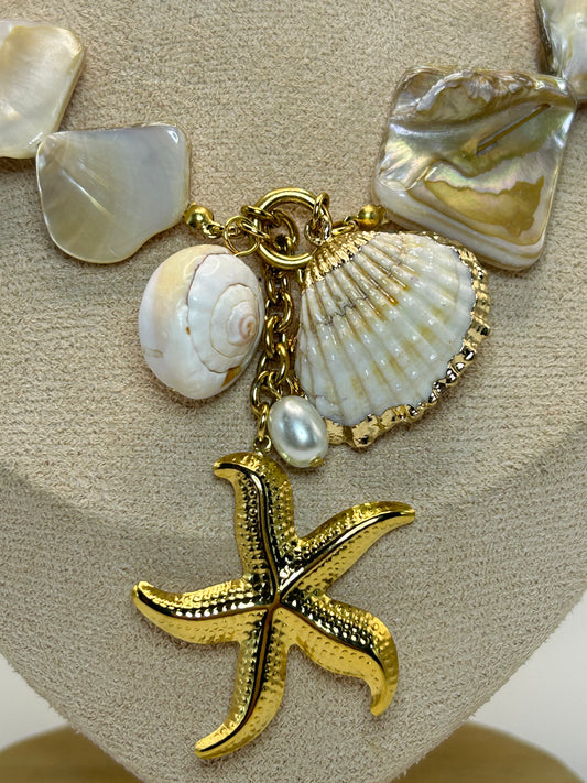 Cadena de Conchas Grandres con Estrella de Mar⭐