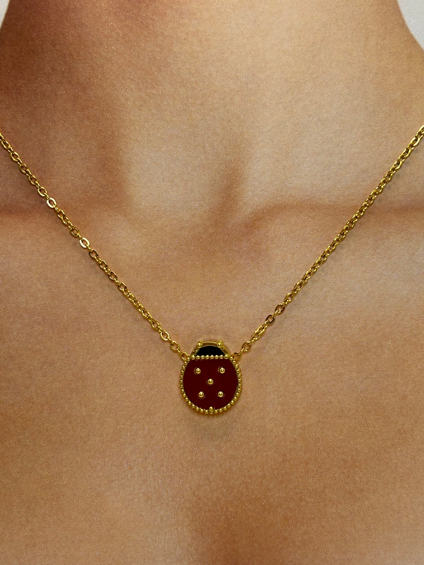 Cadena de Mariquita 🐞